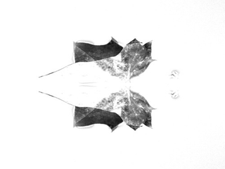 Illustration for article titled Shooting Challenge Rorschach Gallery